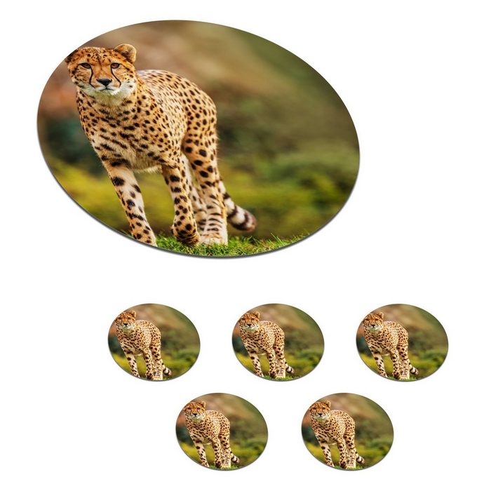 MuchoWow Glasuntersetzer Wildtiere - Gras - Leopard - Natur Zubehör für Gläser 6-tlg. Getränkeuntersetzer Tassenuntersetzer Korkuntersetzer Tasse Becher