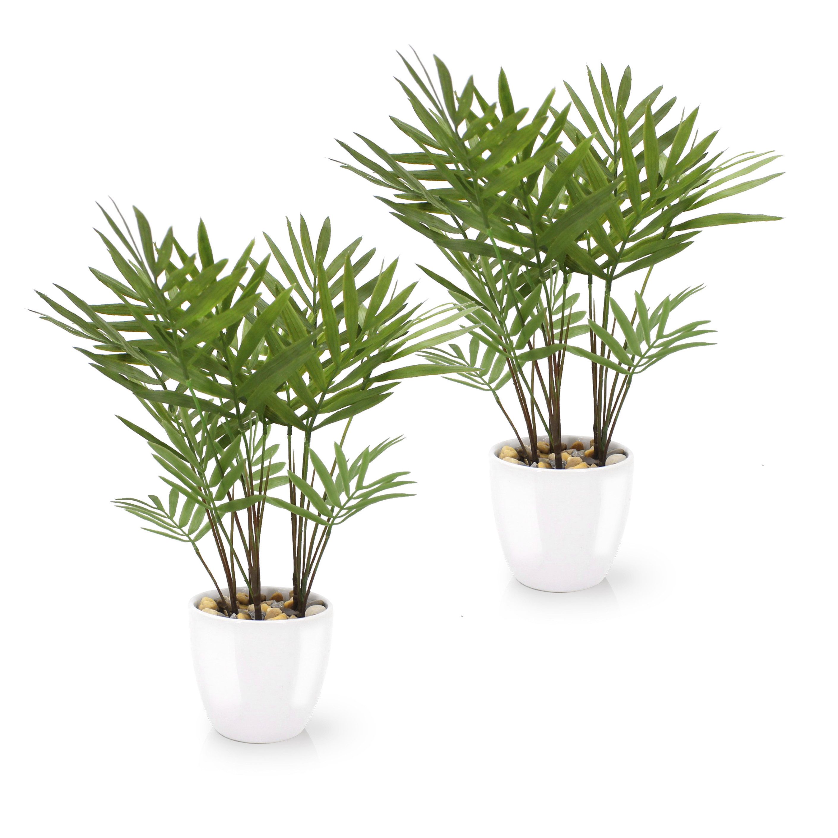 Kunstpflanze Tropische Kunstpflanzen wie echt in weißen Keramiktöpfen, Kuns günstig online kaufen