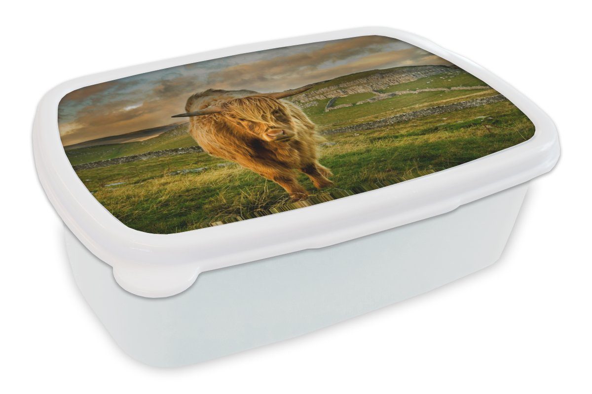 MuchoWow Lunchbox Erwachsene, (2-tlg), - für Highlander und Kunststoff, und Brotdose, weiß Jungs Schottischer Gras - Berg, Kinder Brotbox für Mädchen