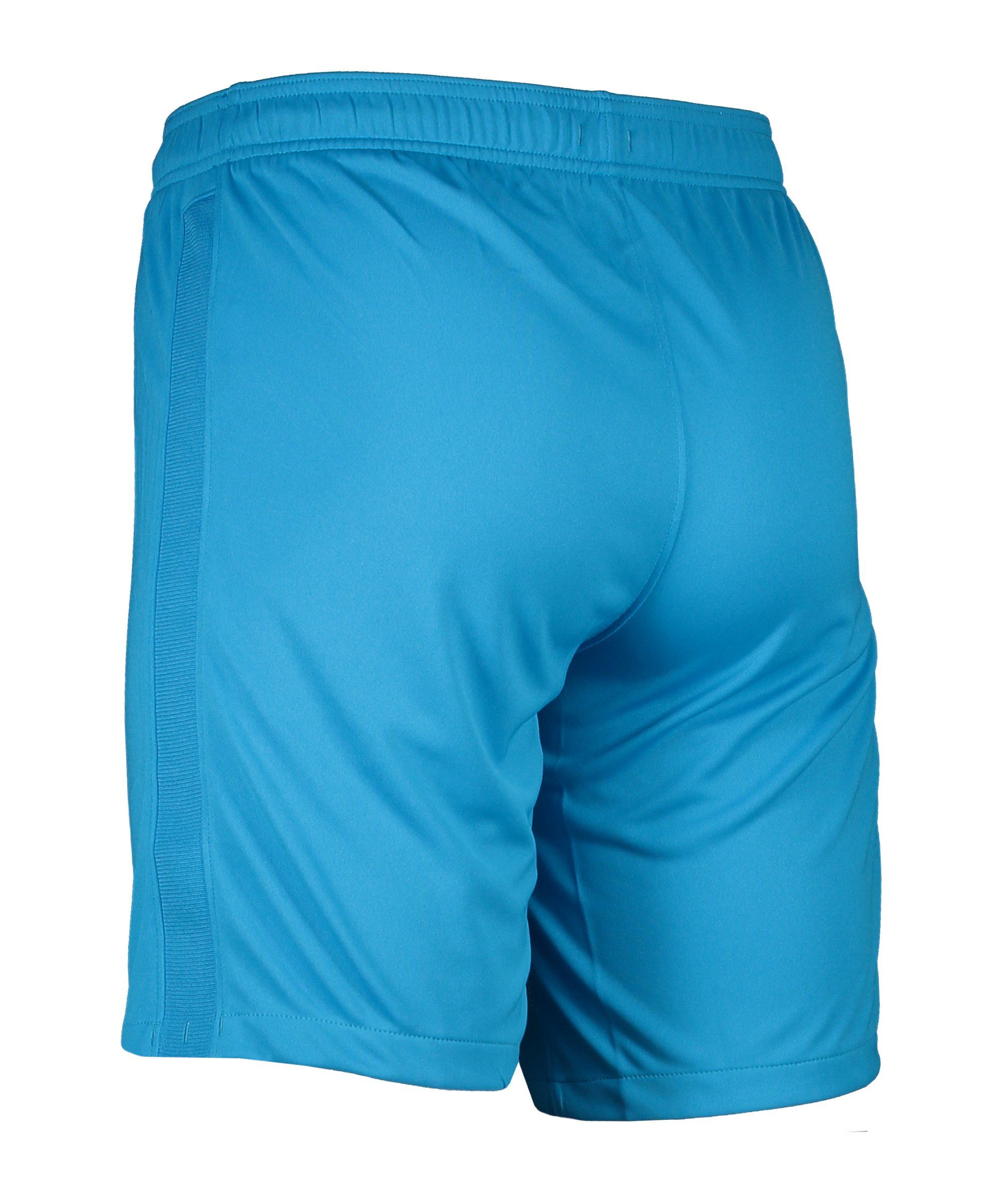 Nike Torwarthose Park Torwart Short blauweiss