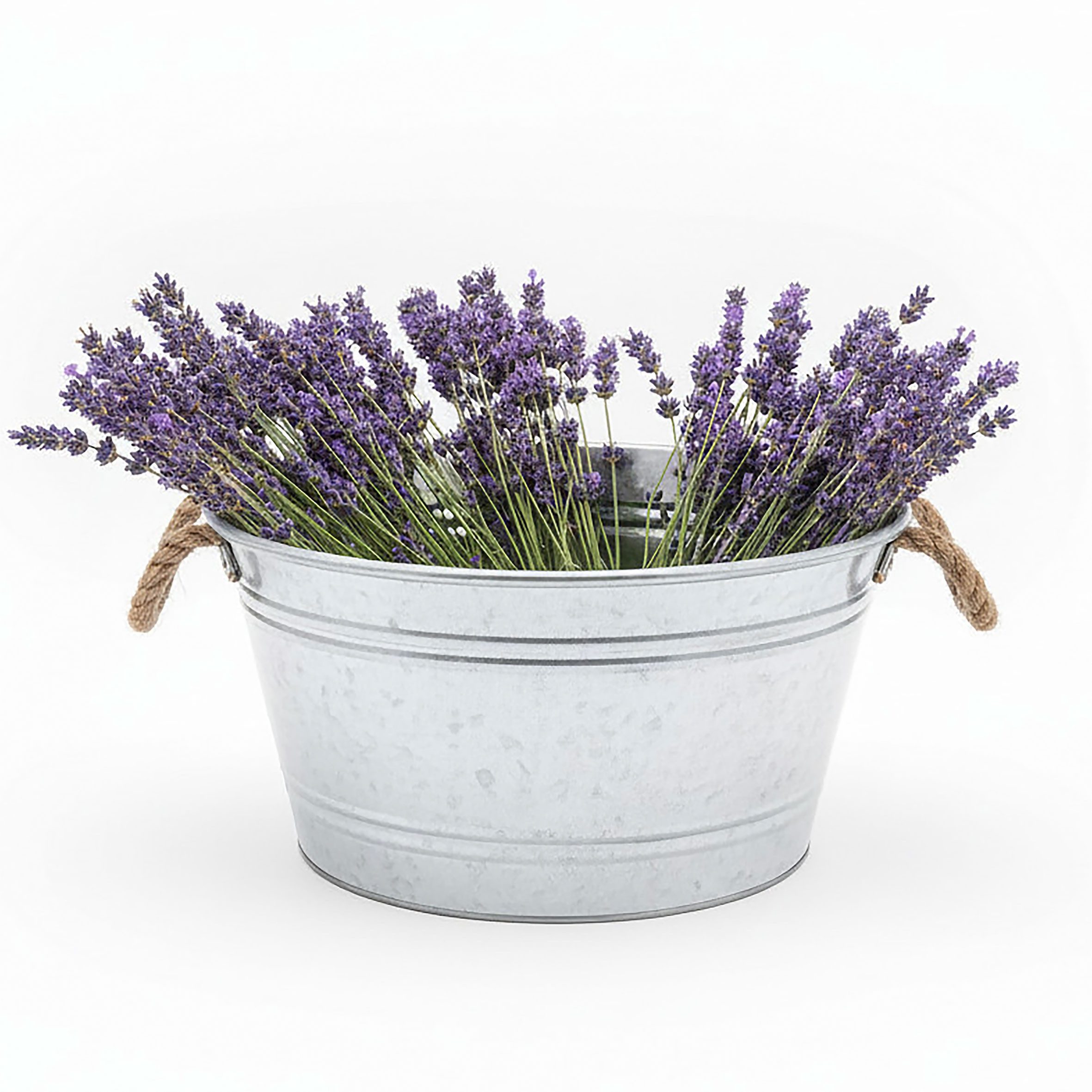 Spetebo Pflanzschale Zinkwanne mit Griffen aus Jutekordel (25 L, 1 St., rund), Metall Blumenschale silber verzinkt, 45 x 22 cm
