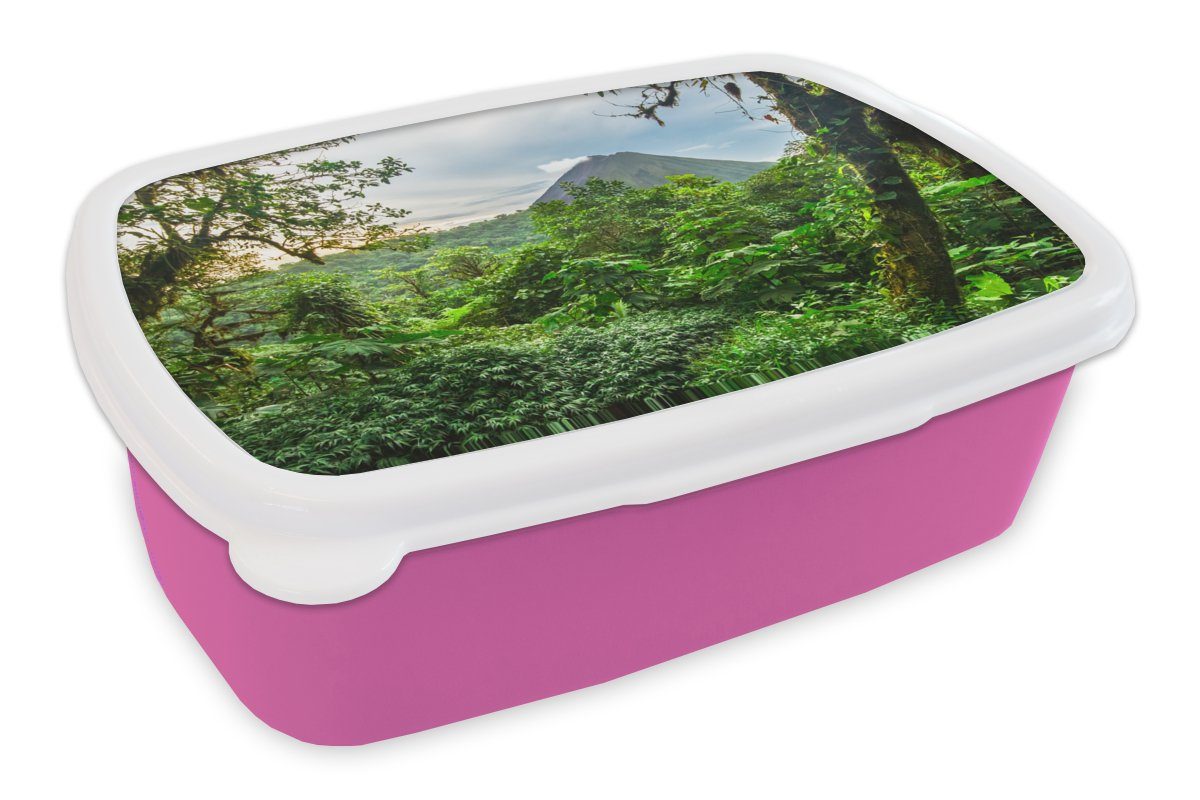 - Brotbox Dschungel Vulkan Snackbox, rosa Jungen Kinder, Baum Kunststoff - - Mädchen - Erwachsene, Mädchen, - Kunststoff, Brotdose (2-tlg), für MuchoWow Lunchbox Kind,