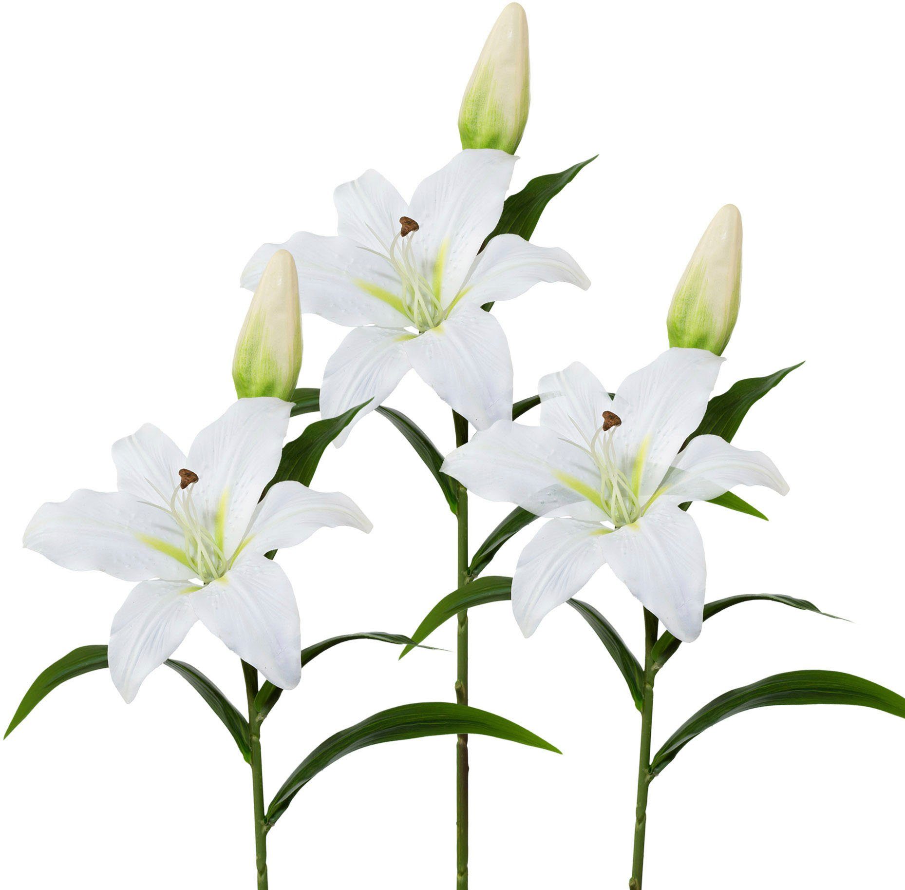 Kunstblume, Creativ green, Höhe 50 cm, 3er-Set günstig online kaufen