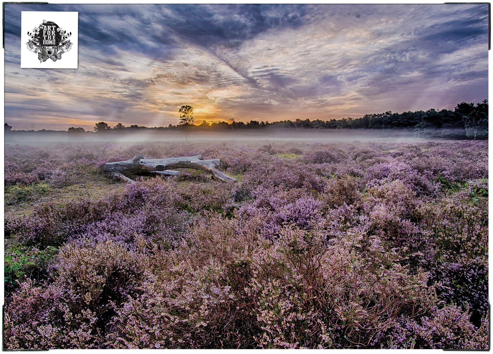 Art for the home Leinwandbild Outdoor Lavendel 50x70cm, Blumen, Romantisch (1 St), Leinwand für draußen - Lavendelfeld - 50x70cm