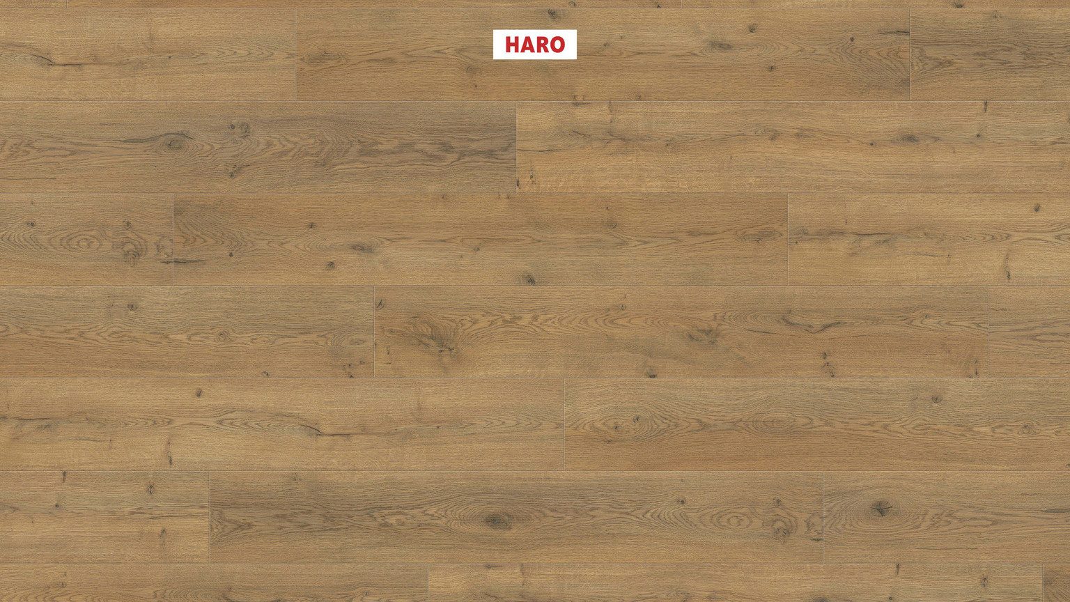 HARO Laminat HARO Sonderedition NKL 31 – NKL 23/31, HARO Sonderedition NKL 31: NKL 23/31