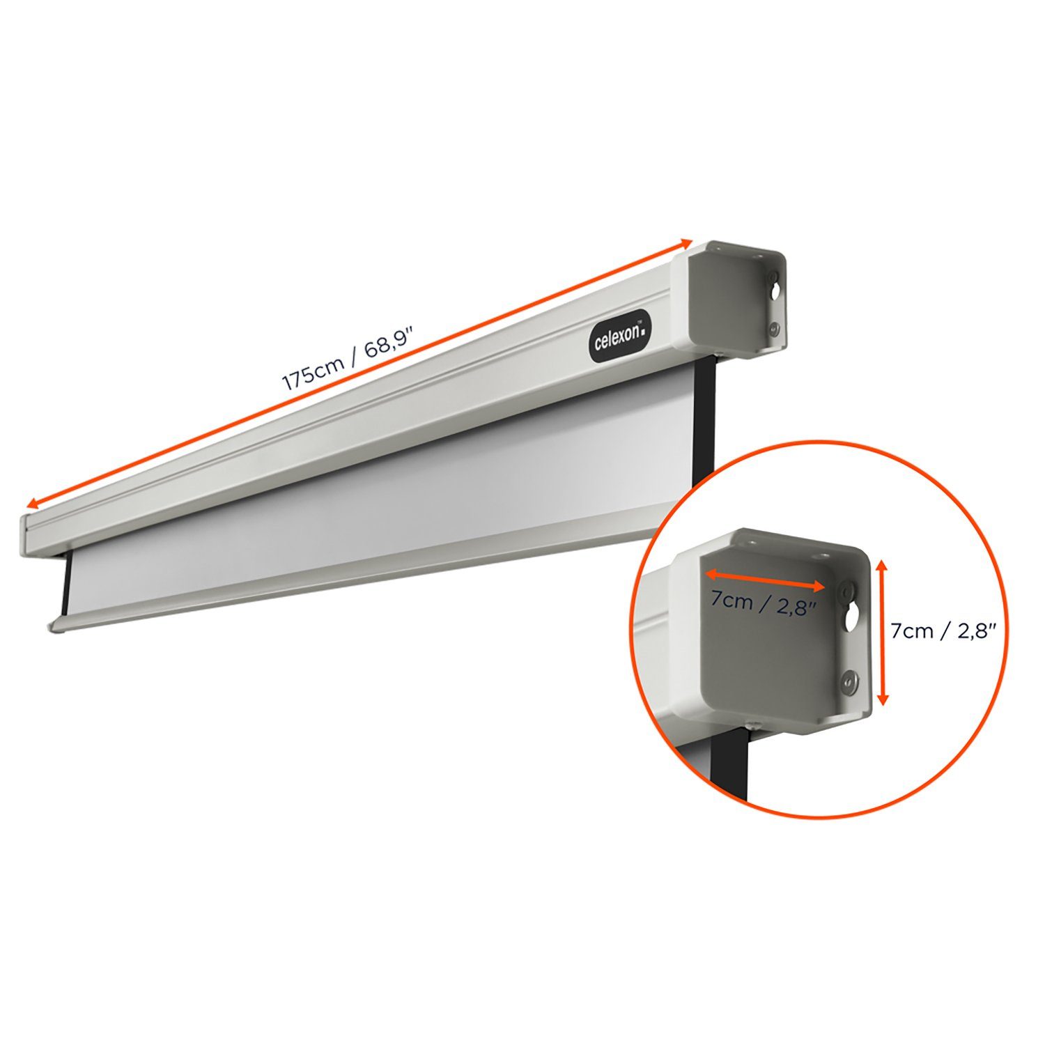 Celexon Professional Motorleinwand (schwarze Rückseite)