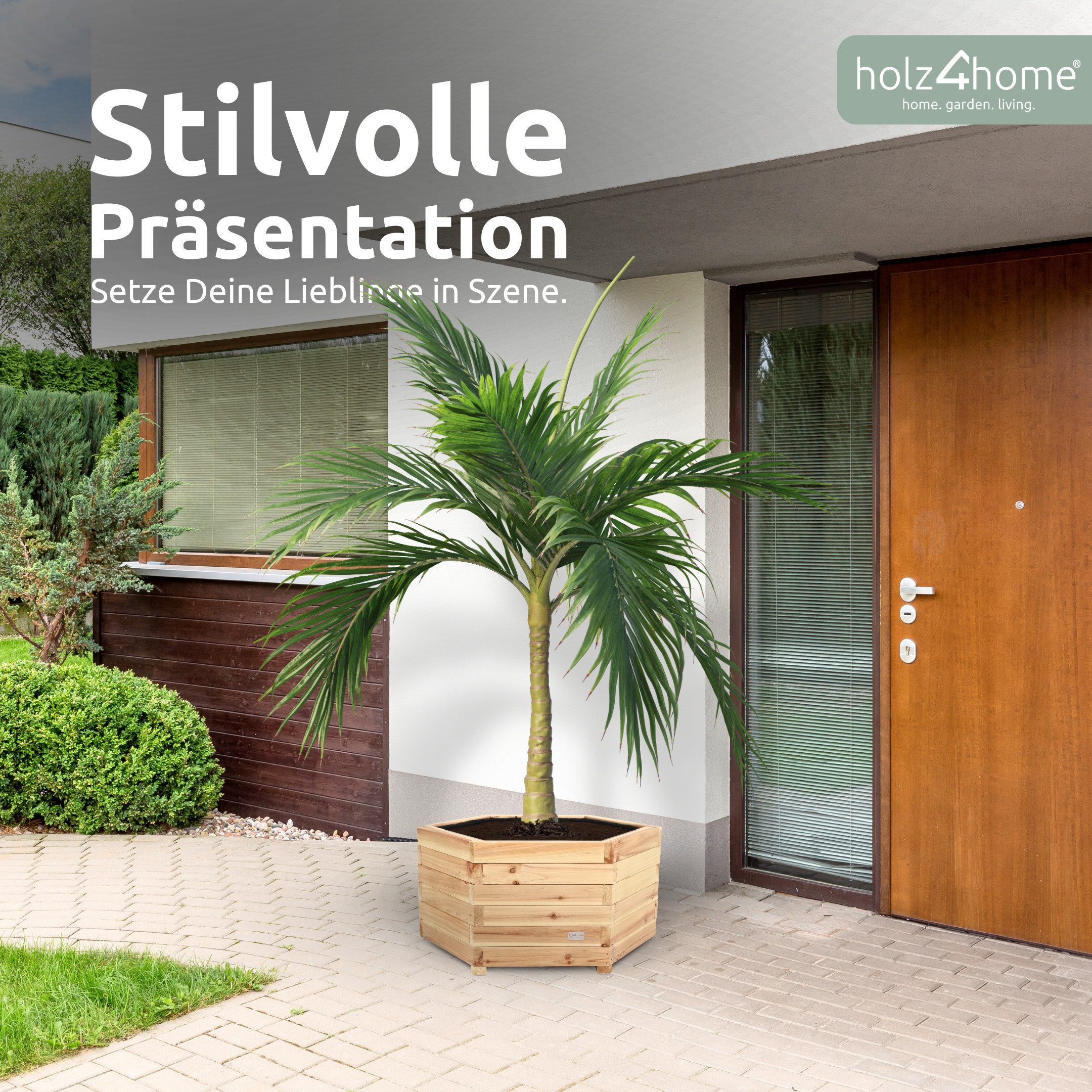 holz4home® Pflanzkübel 6-eckig aus Tannenholz I günstig online kaufen