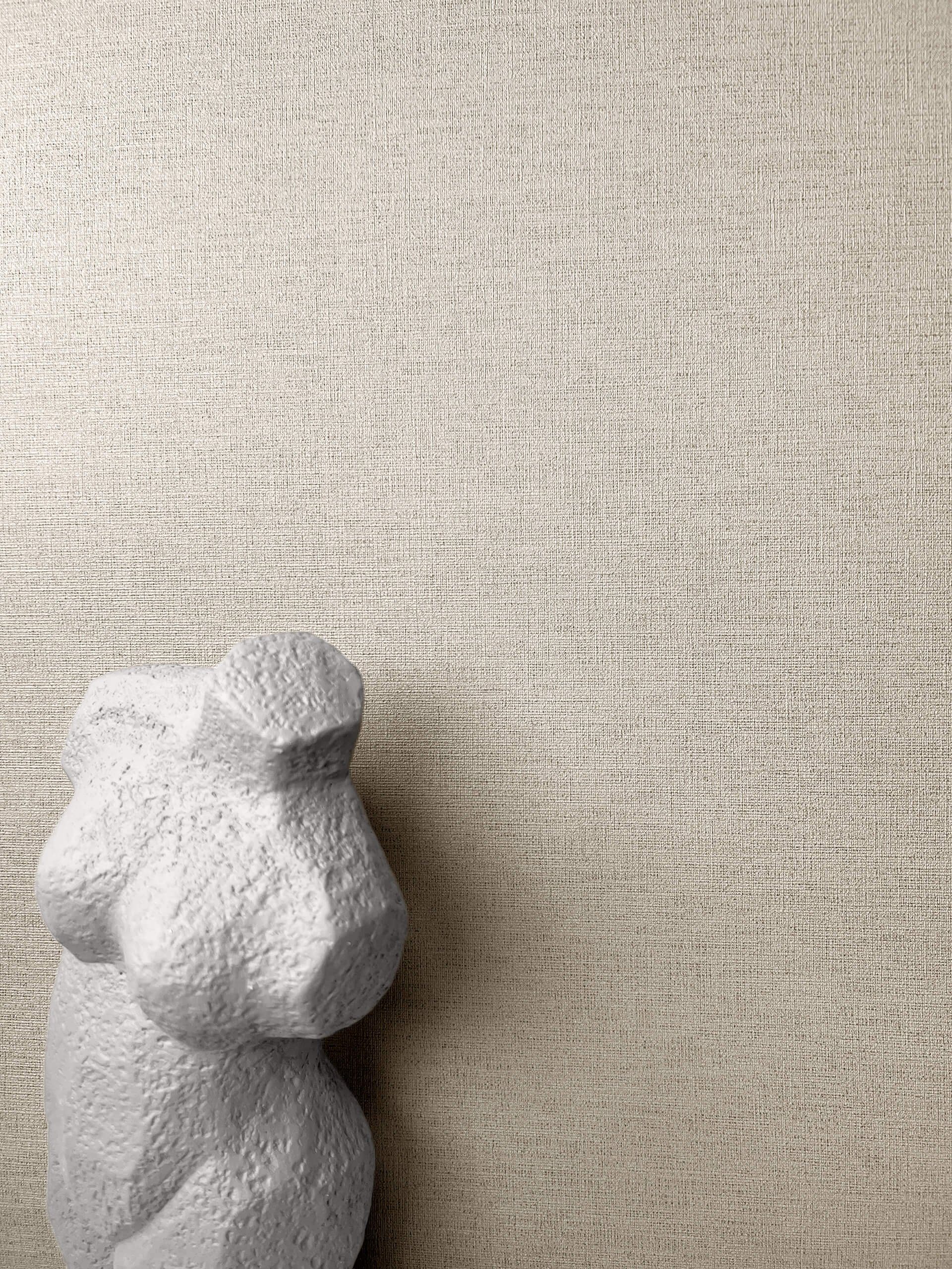 Newroom Vliestapete, Taupe Tapete Uni Unifarbe - Unitapete Strukturtapete B günstig online kaufen