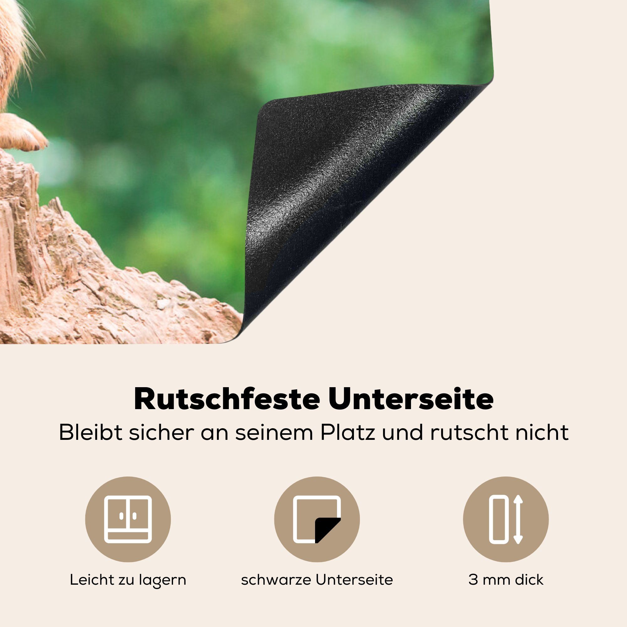 81x52 (1 Vinyl, Schutz Erdmännchen Ceranfeldabdeckung die Baumstumpf Herdblende-/Abdeckplatte cm, für Induktionskochfeld MuchoWow - küche, - tlg), Jungtier,