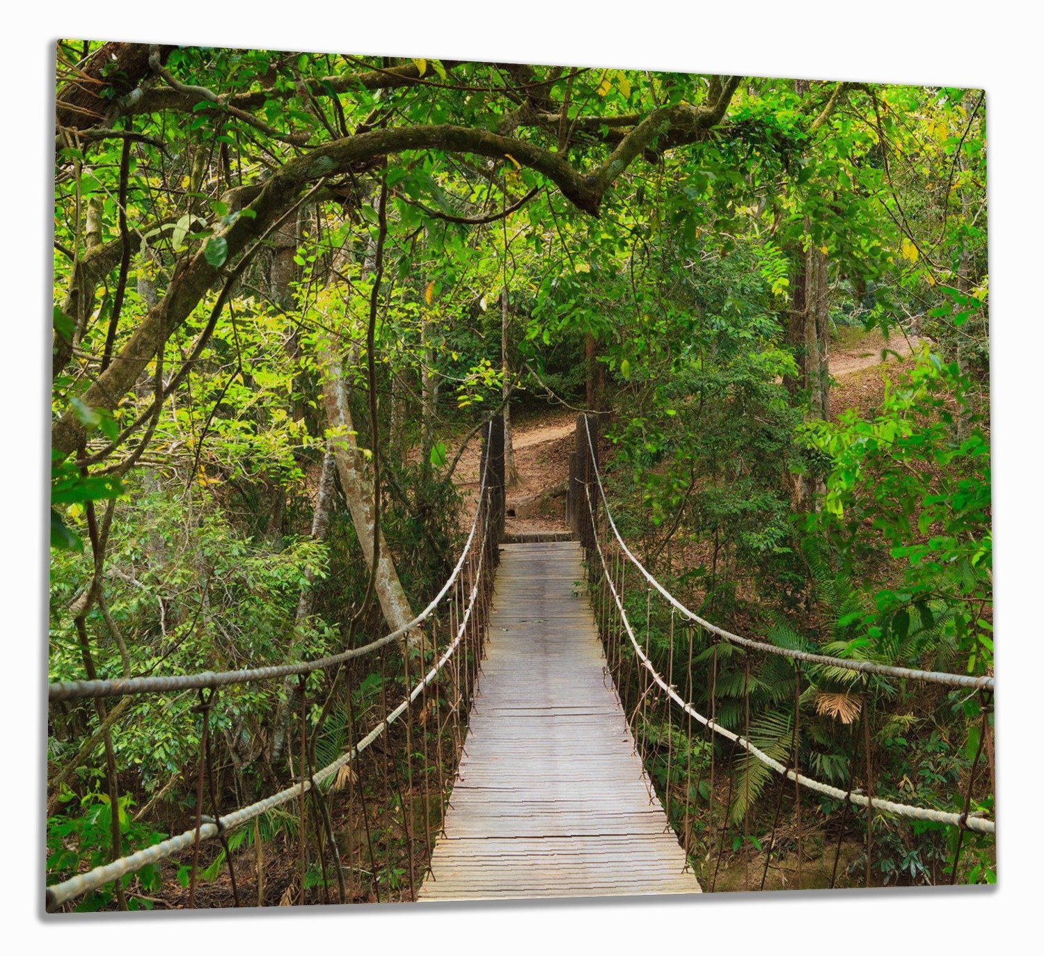 Wallario Herd-Abdeckplatte Hängebrücke im Urwald grüner Dschungel, ESG-Sicherheitsglas, (Glasplatte, 1 tlg., inkl. 5mm Noppen), verschiedene Größen