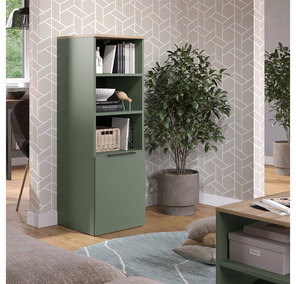 Vicco Aktenschrank Wido, Grün/Sonoma, 40.2 x 120 cm mit einer Tür (1-St)