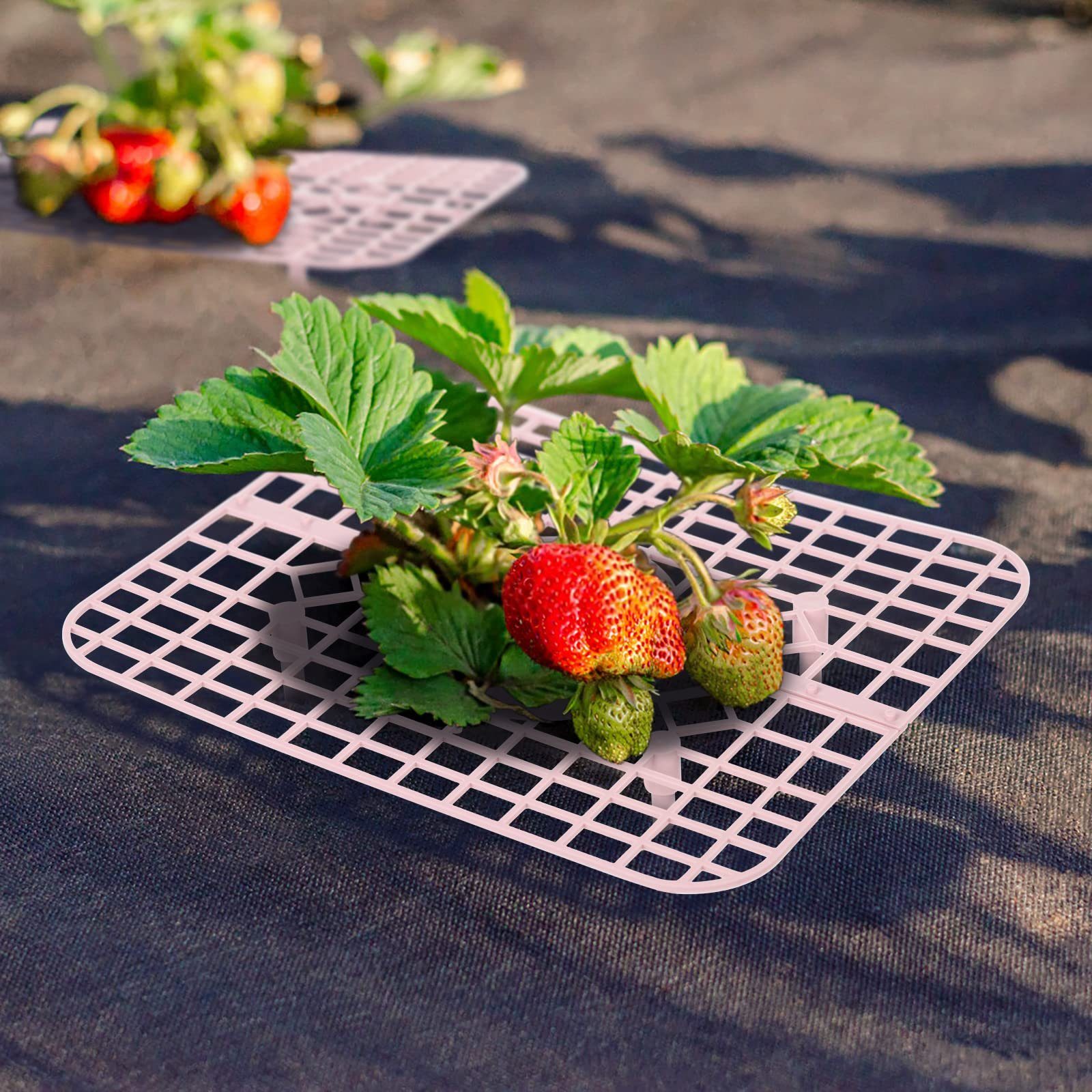 Blumenständer mit Erdbeerständer Dreidimensionaler Stück Erdbeer-Pflanzenstützung 9 Weiß Beinen,25 für 10 Gartenständer,Gemüserega, 20 4 SEEZSSA x cm x