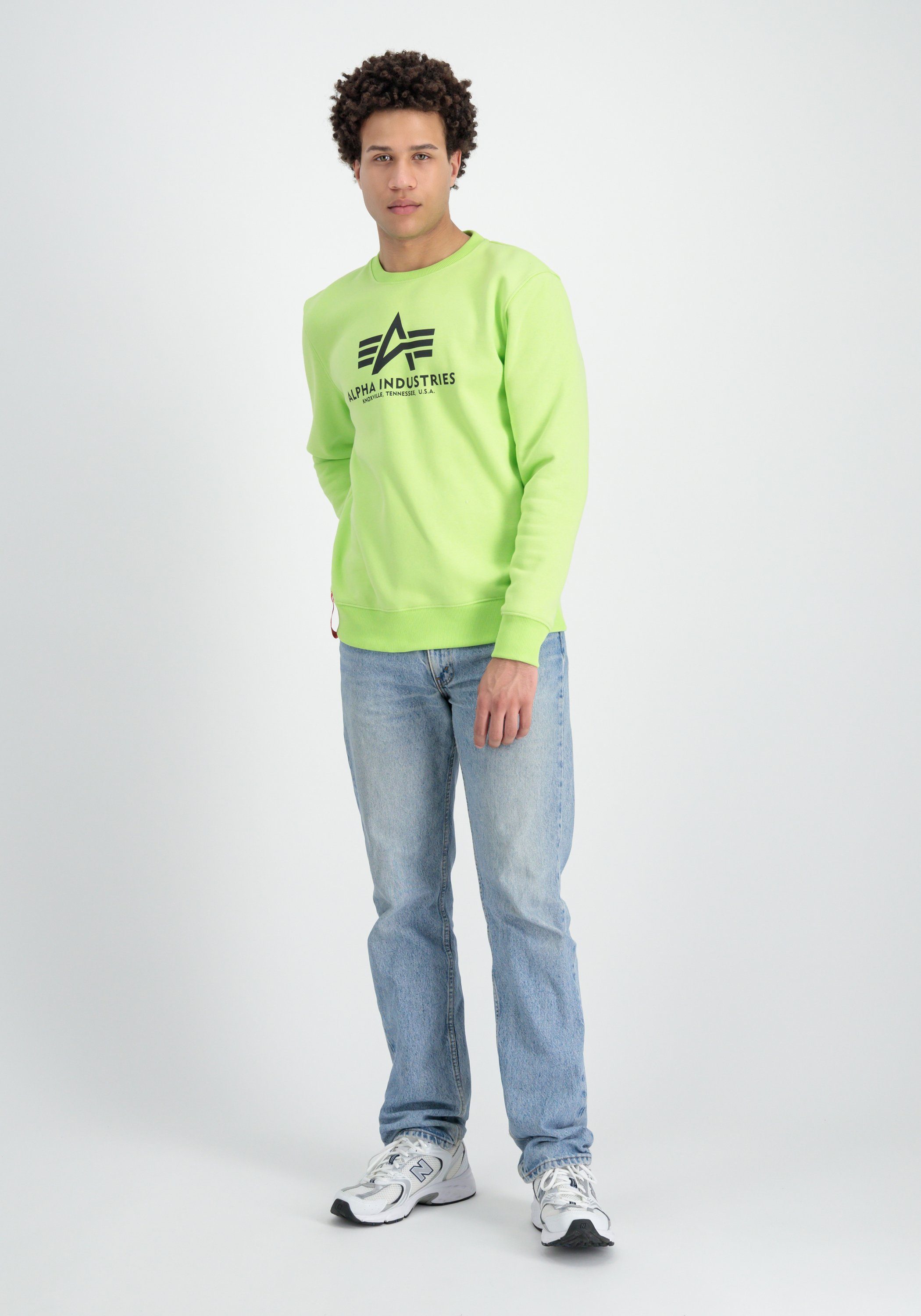Alpha - Alpha Sweater green Industries Men hornet Industries Basic Sweater Sweatshirts
