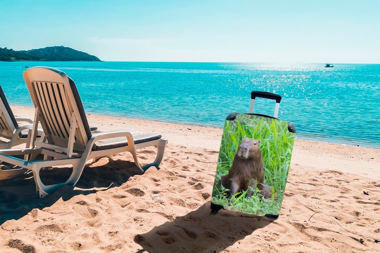 Wasserschwein rollen, Ein Trolley, Gras, Reisekoffer für hohen Handgepäck 4 MuchoWow im Rollen, mit Ferien, grünen Handgepäckkoffer Reisetasche sitzt