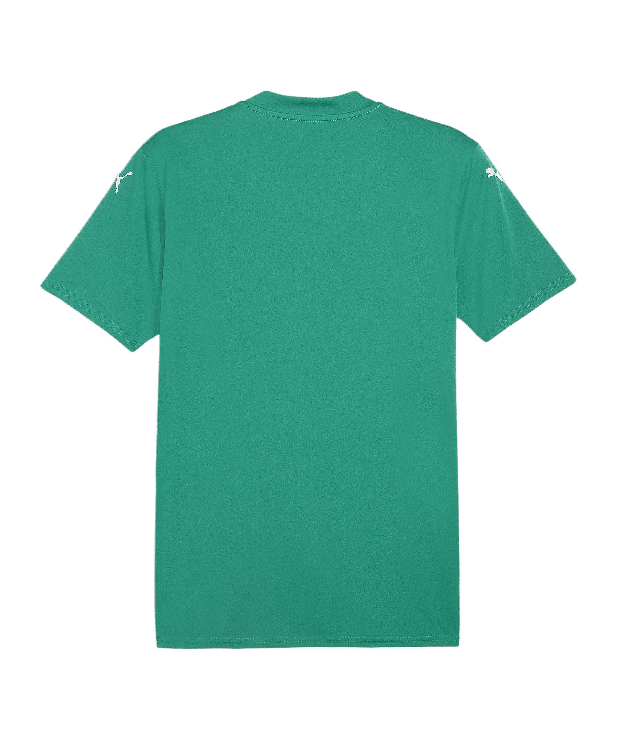PUMA Fußballtrikot PUMA teamGLORY Trikot Trikots günstig online kaufen