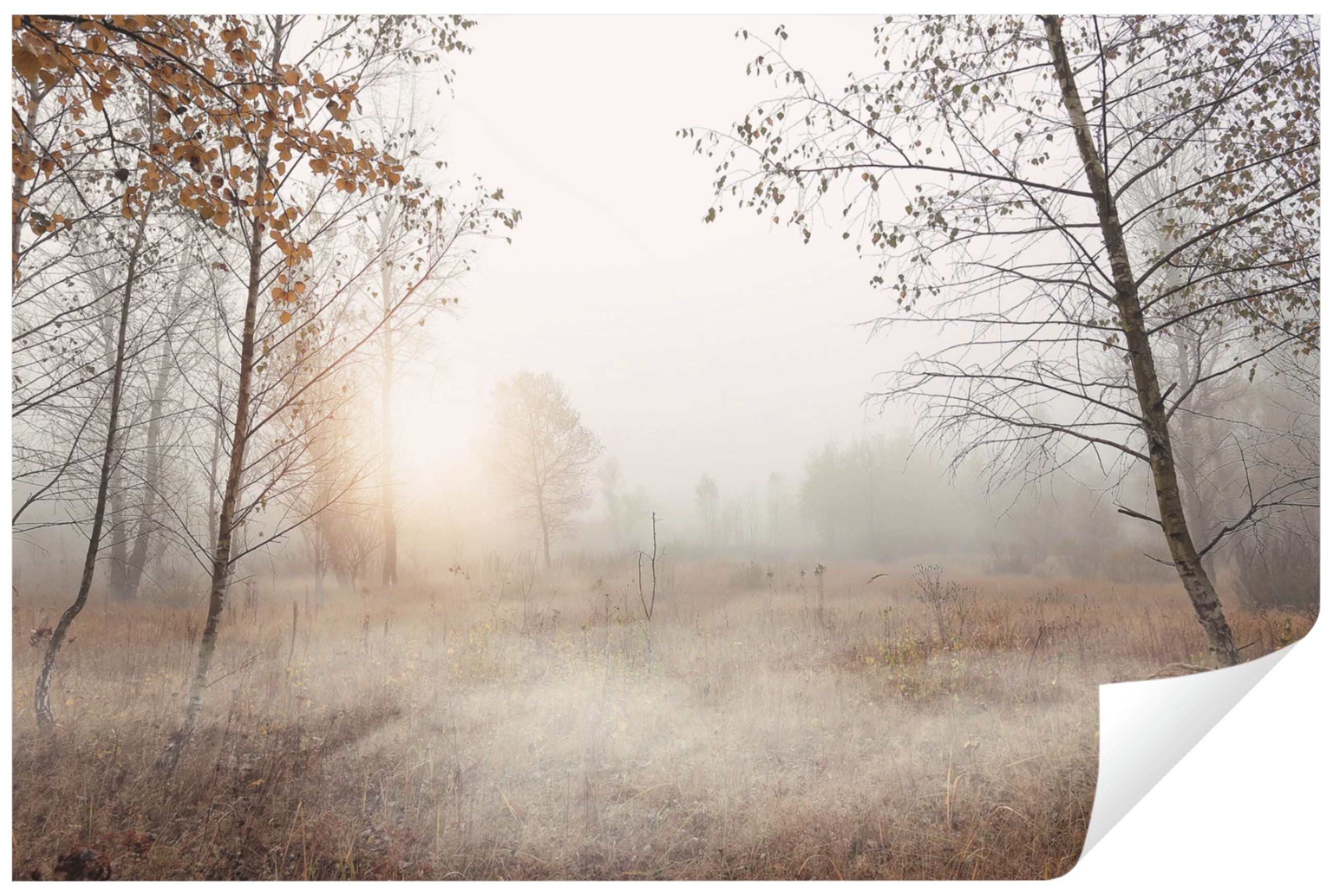 Wallarena Fototapete Wald Nebel Natur Vlies Tapete Wohnzimmer Schlafzimmer günstig online kaufen