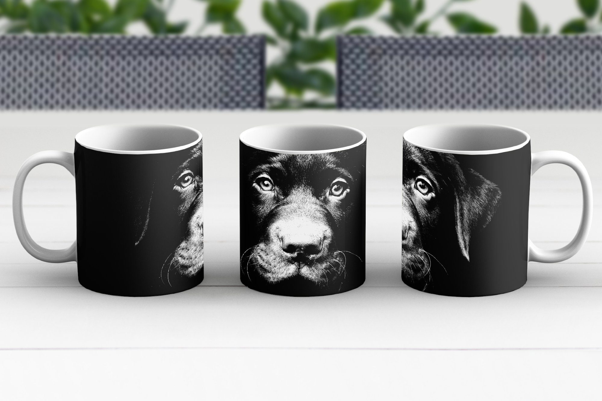 Hintergrund Teetasse, in vor und, Nahaufnahme Geschenk schwarz MuchoWow Becher, Welpe Kaffeetassen, schwarzem Labrador Keramik, Teetasse, Tasse