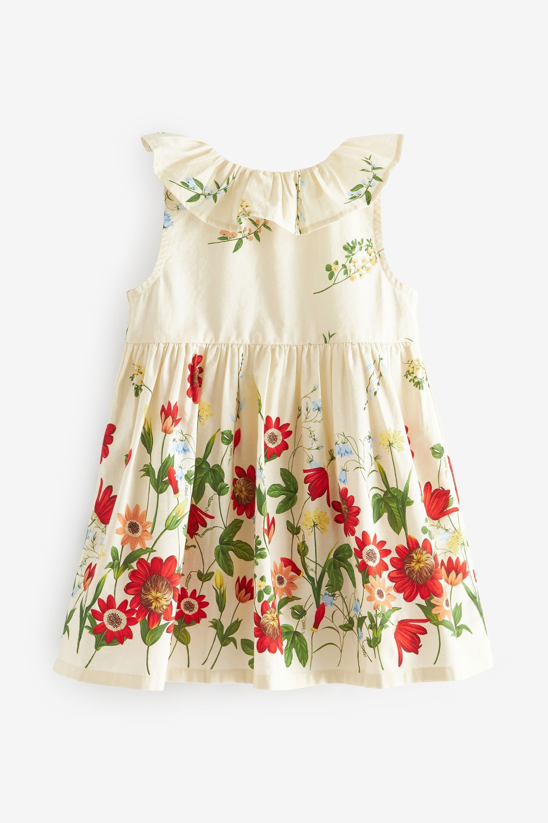 Print Border Rüschenkragen mit Cream/Red Kleid Next (1-tlg) Sommerkleid
