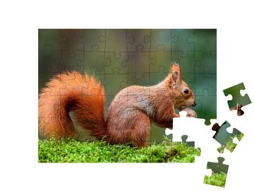 puzzleYOU Puzzle Ein rotes Eichhörnchen frisst eine Nuss, 48 Puzzleteile, puzzleYOU-Kollektionen Eichhörnchen, Tiere in Wald & Gebirge