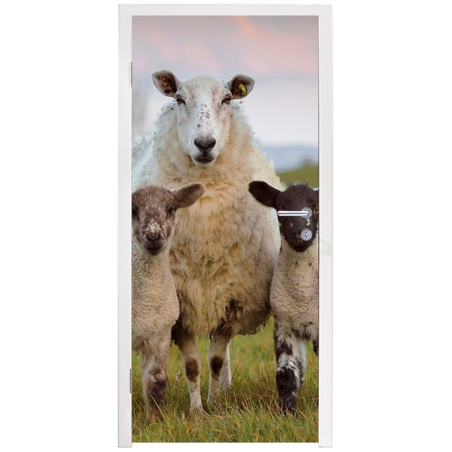 Natur cm 75x205 bedruckt, MuchoWow Matt, St), - Schwarz Schafe (1 Türaufkleber, Tür, Fototapete für Türtapete - Weiß, -