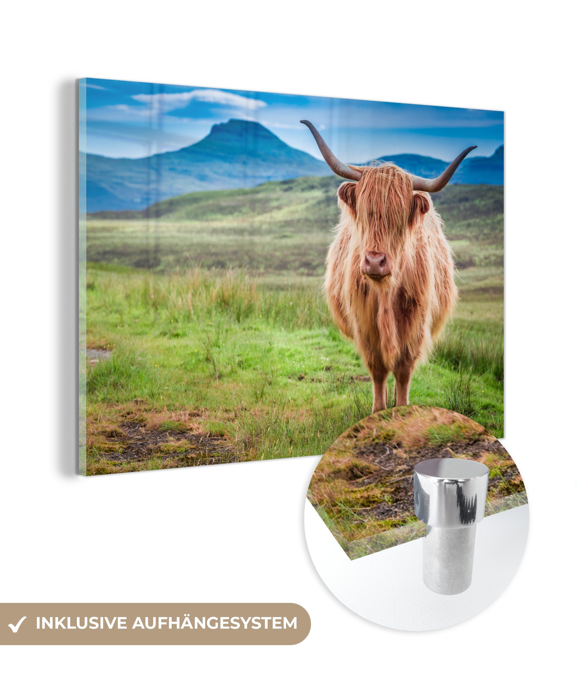 MuchoWow Acrylglasbild Kuh - Schottland - Braun, (1 St), Acrylglasbilder Wohnzimmer & Schlafzimmer