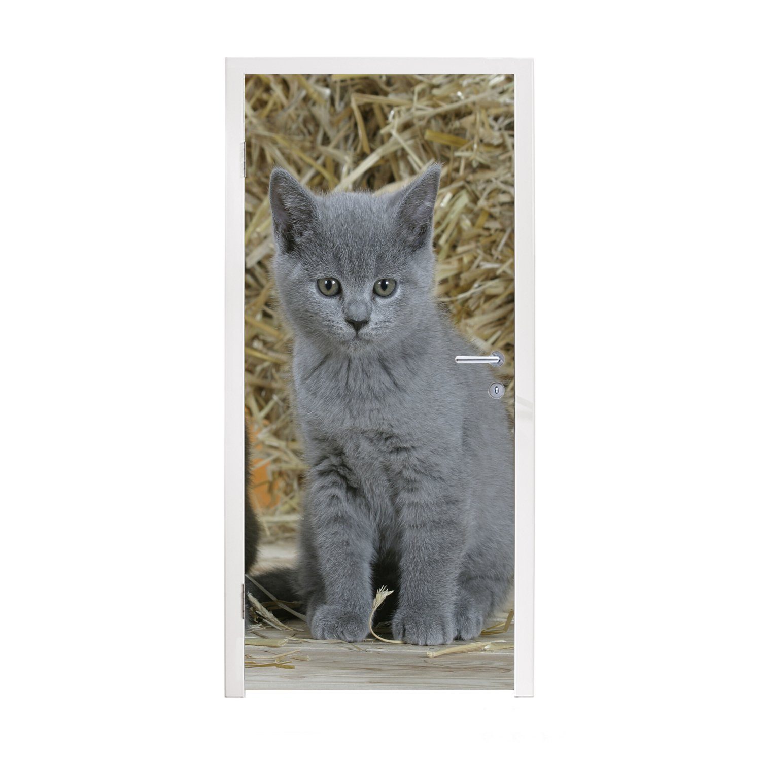 MuchoWow Türtapete Zwei Britisch-Kurzhaar-Kätzchen mit Heu im Hintergrund, Matt, bedruckt, (1 St), Fototapete für Tür, Türaufkleber, 75x205 cm