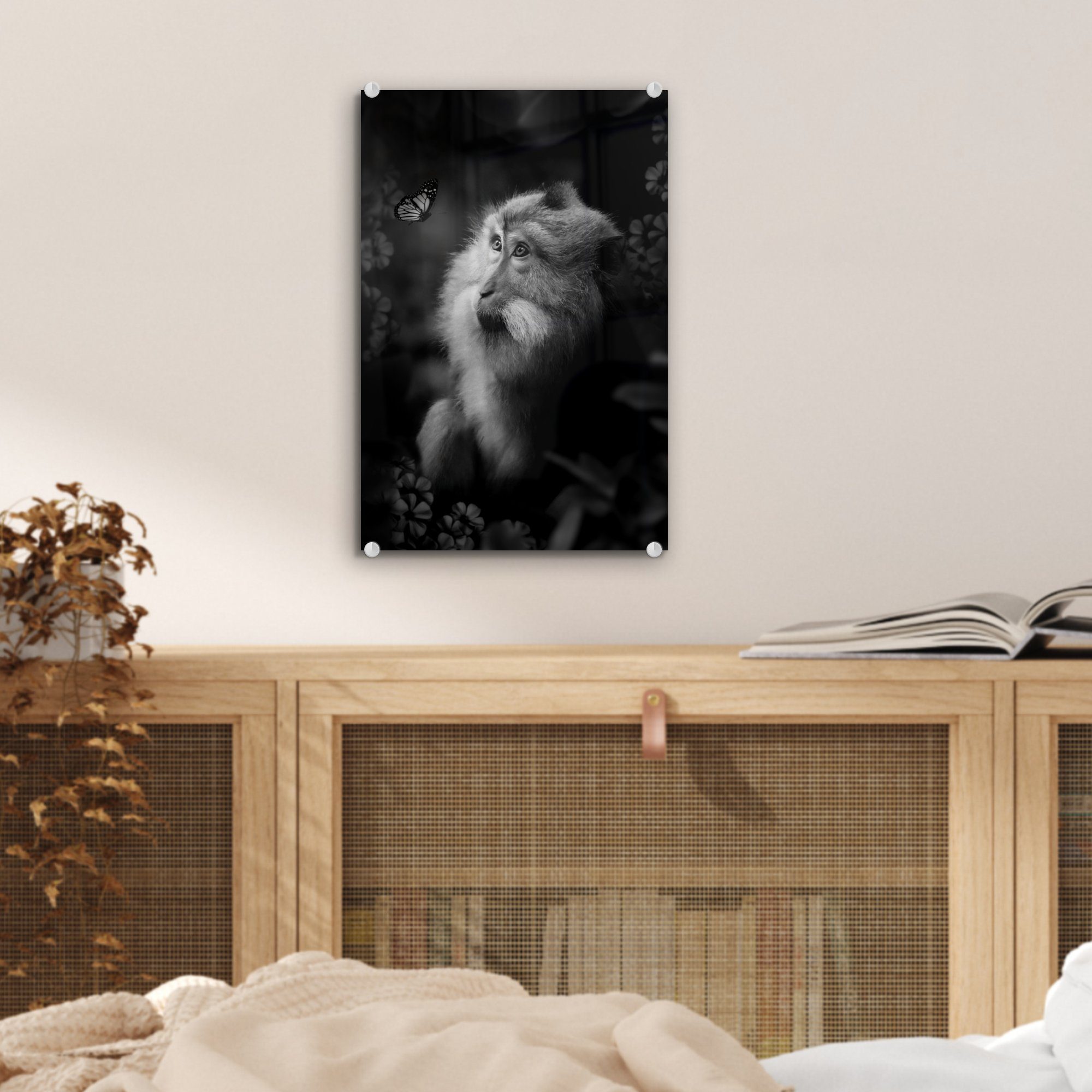 Glas MuchoWow (1 Wandbild - Bilder - schwarz St), Foto - und im bunt Wanddekoration auf Schmetterling Glasbilder Affe Dschungel auf Glas und - Acrylglasbild weiß,