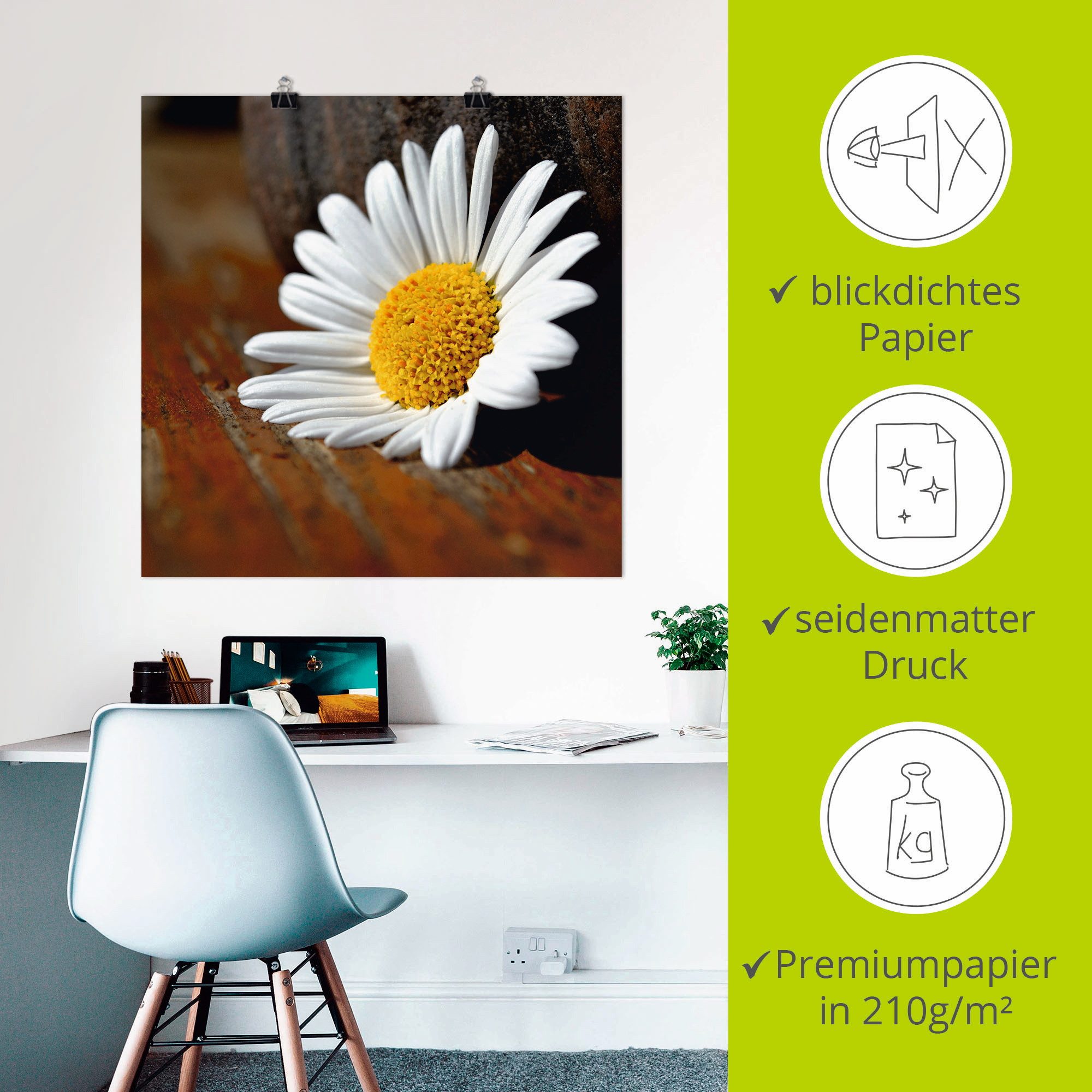 Artland Poster Margeriten Stillleben, Blumen (1 St), ohne Rahmen