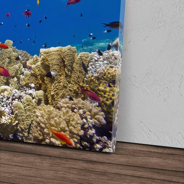 Sinus Art Leinwandbild 120x80cm Wandbild auf Leinwand Korallenriff Korallen Unterwasserfotogr, (1 St)