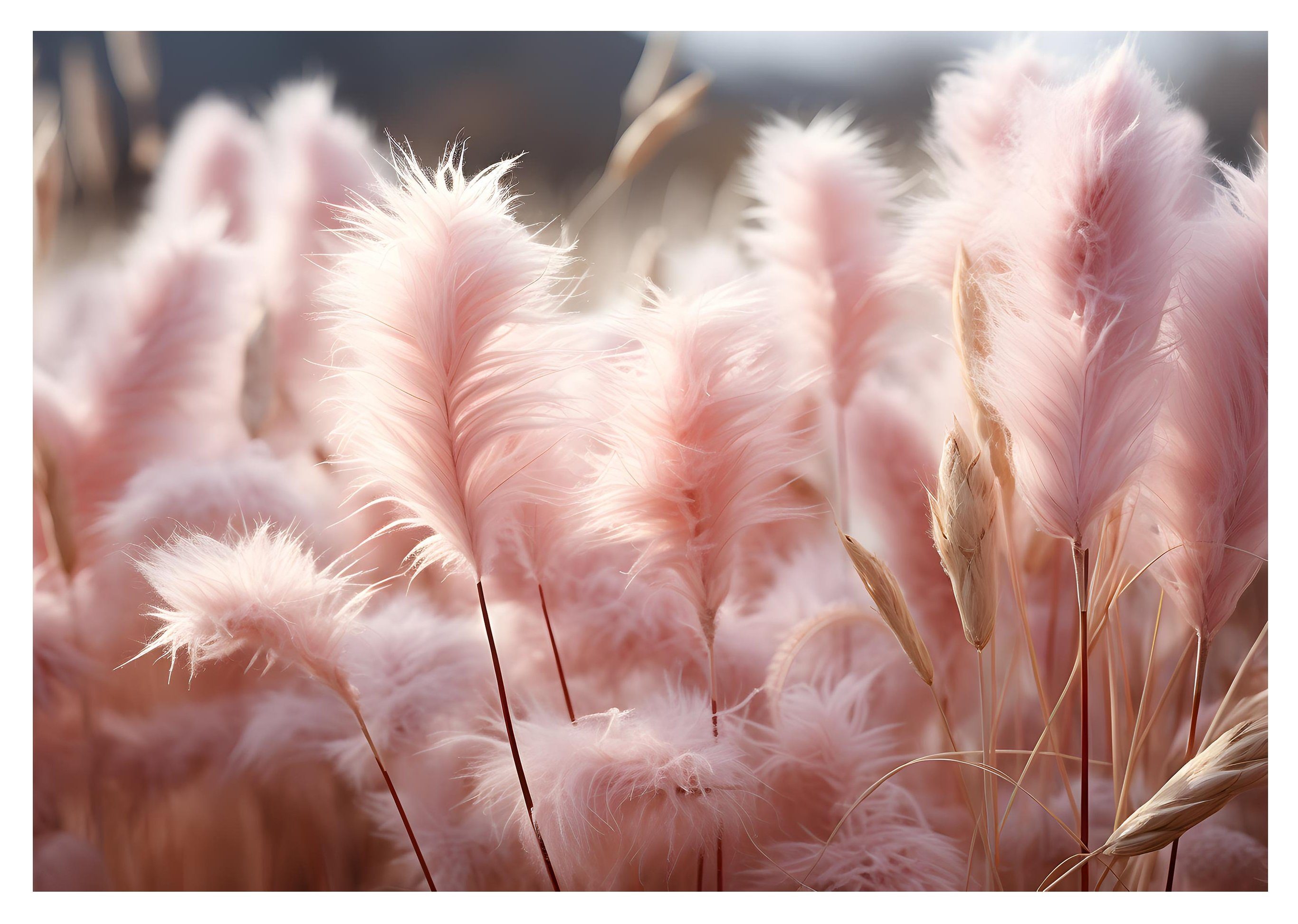 Wallarena Fototapete Pampasgrass Boho Rosa Vlies Tapete Wohnzimmer Schlafzi günstig online kaufen