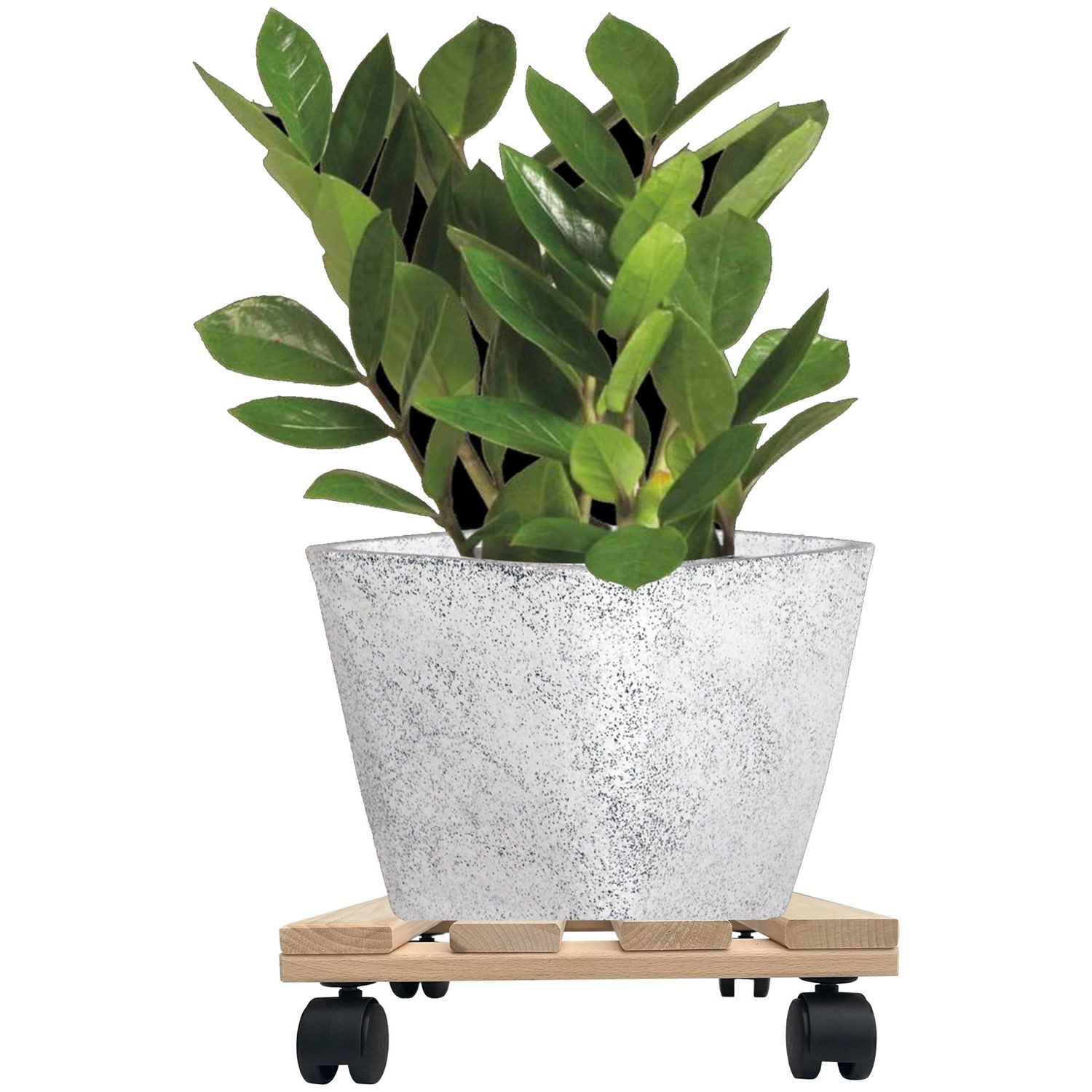 Hossi's Wholesale Pflanzenroller 2x Pflanzenroller Eckig günstig online kaufen