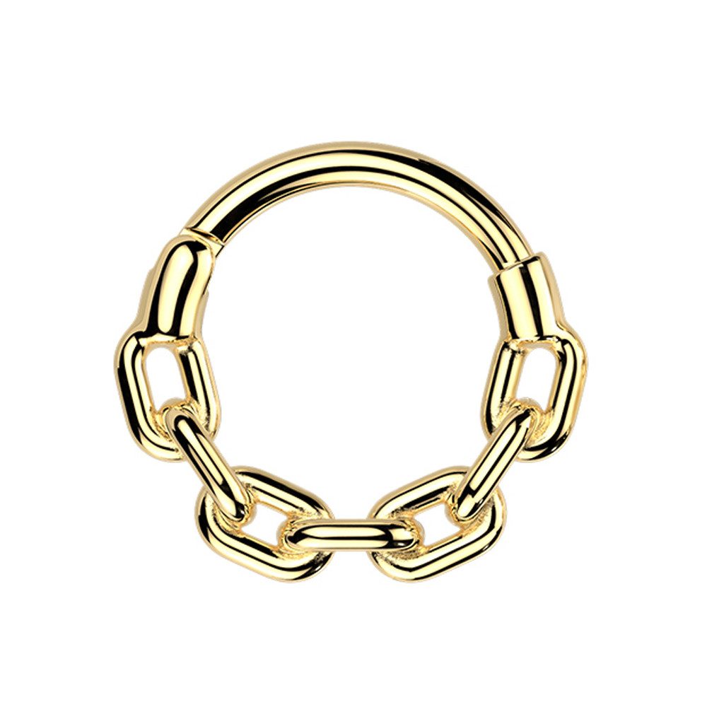 Nasenpiercing Septum Piercing Clicker Segment Ohr Helix Ring Kette Chirurgenstahl