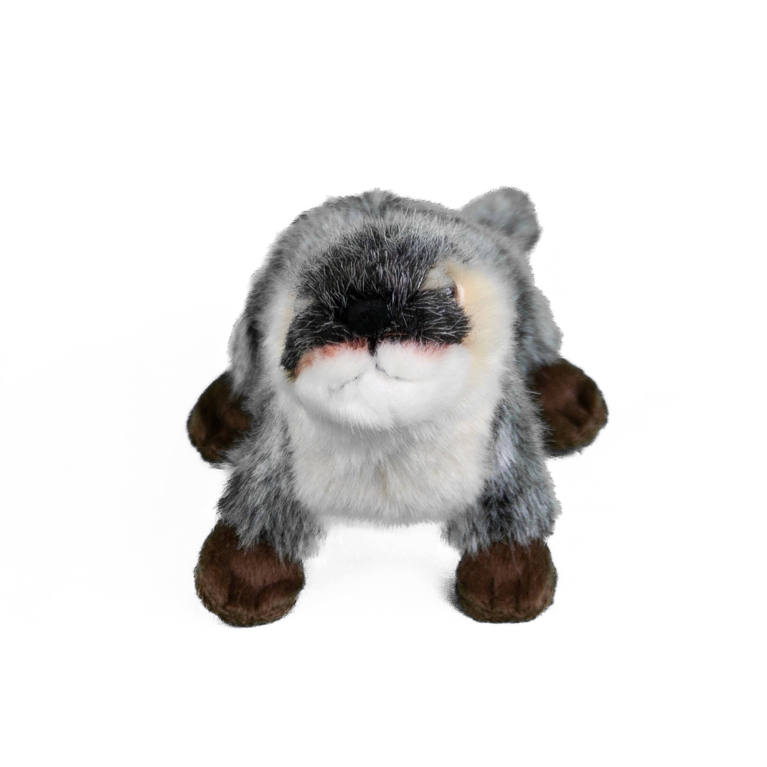 Teddys Rothenburg Kuscheltier Otter grau 20 cm Plüschotter Fischotter (Fischotter)