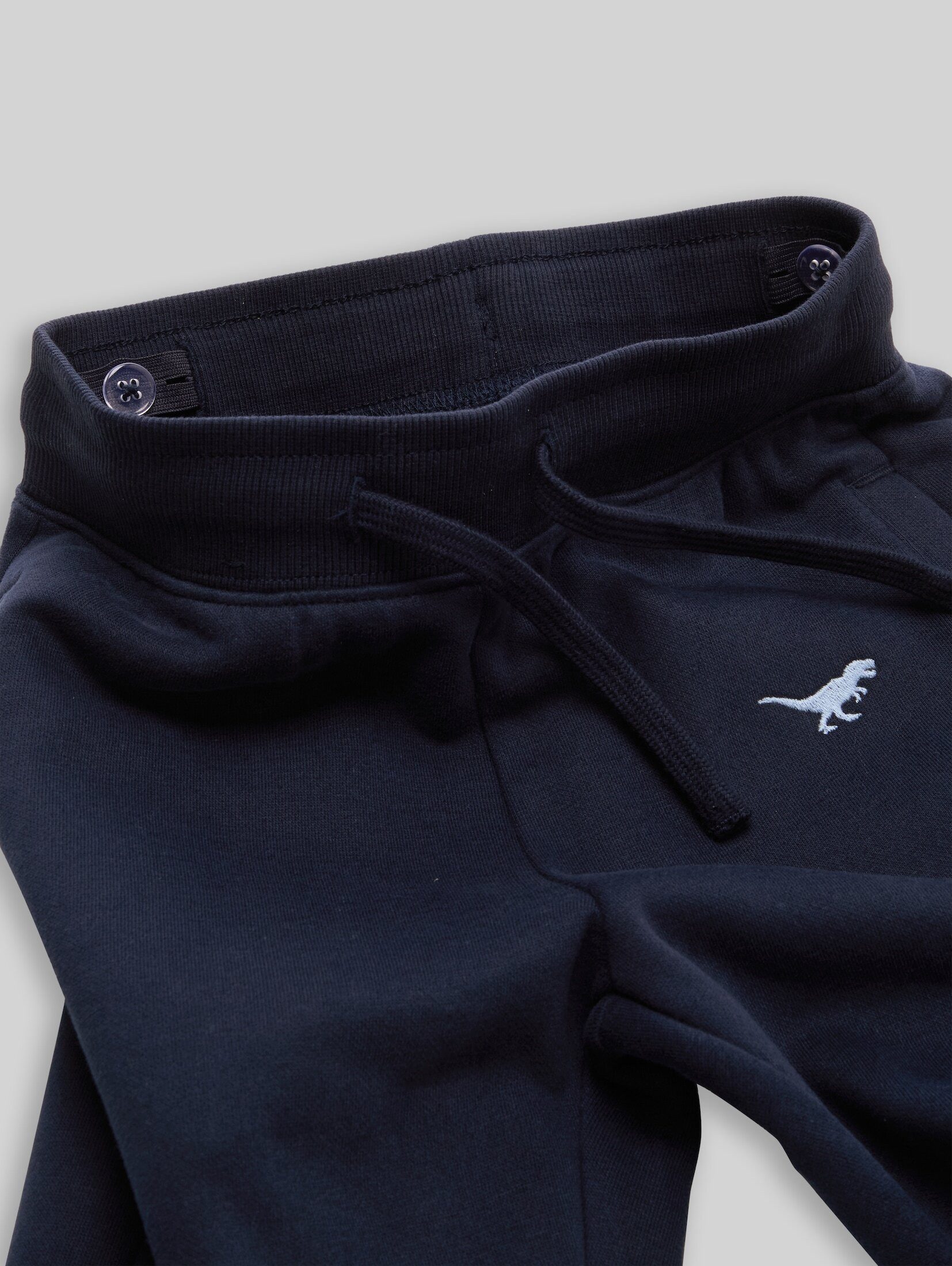 TOM TAILOR Sweathose Hosen & Chino Jogginghose mit Dino-Stickerei