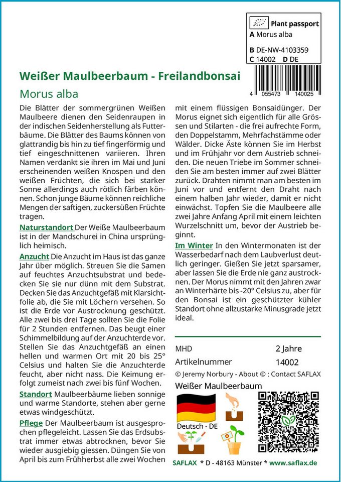 Thumbnail - SAFLAX Blumensamen SAFLAX - Samen - Weißer Maulbeerbaum