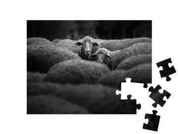 puzzleYOU Puzzle Schafherde, schwarz-weiß, 48 Puzzleteile, puzzleYOU-Kollektionen Schafe & Lämmer