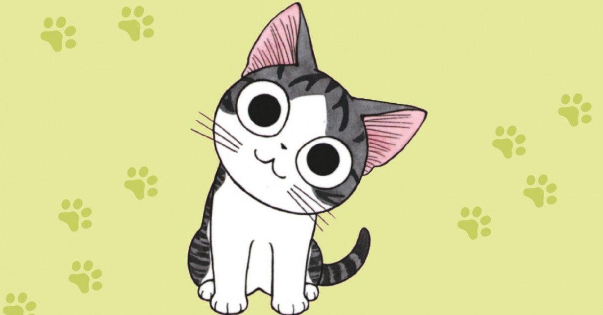 Kleine Katze Chi