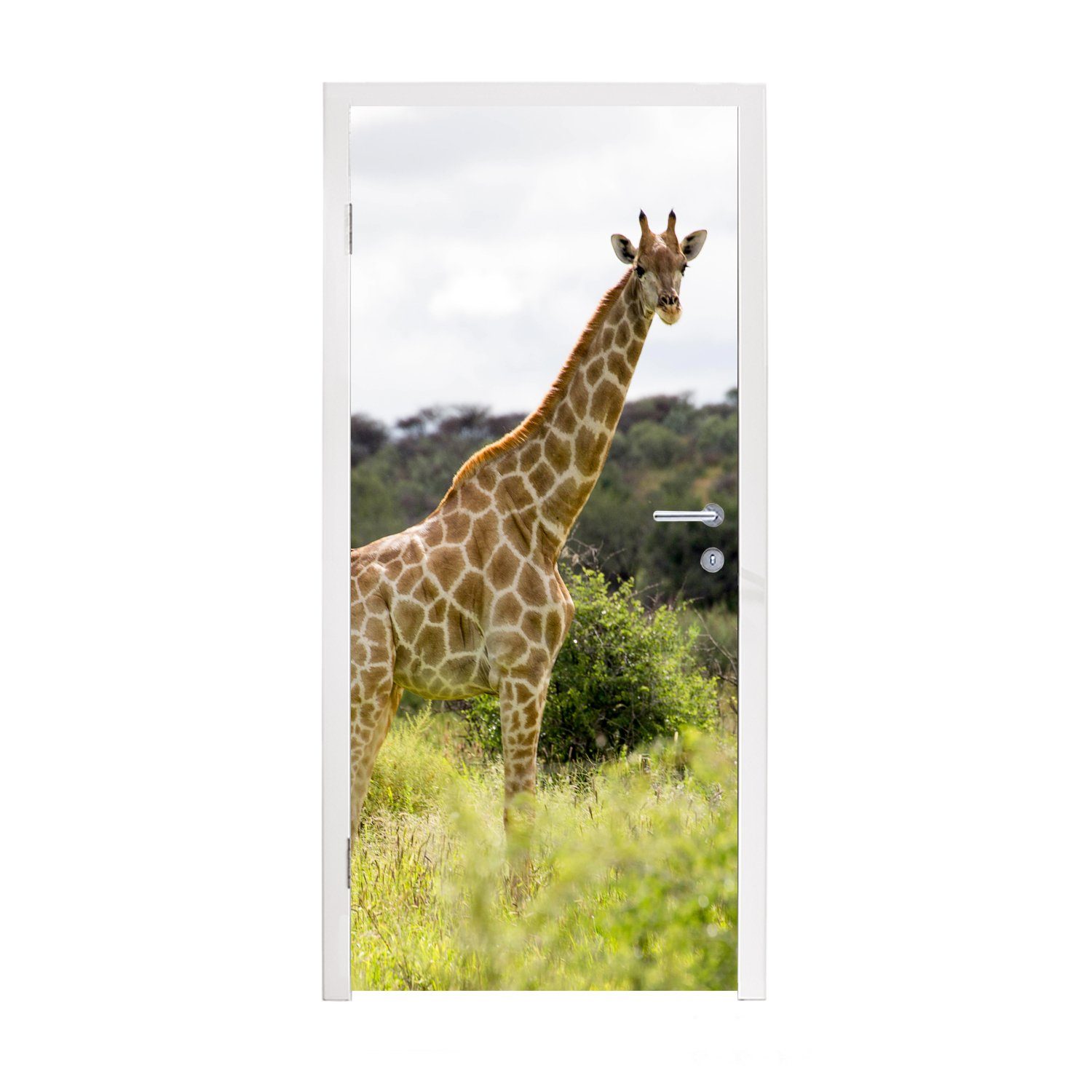 MuchoWow Türtapete Giraffe - Pflanzen - Tier, Matt, bedruckt, (1 St), Fototapete für Tür, Türaufkleber, 75x205 cm