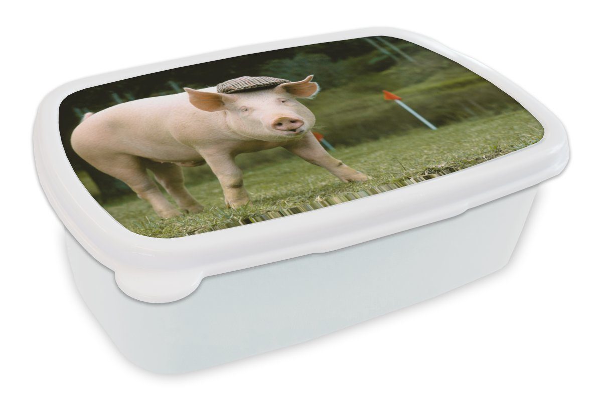 MuchoWow Lunchbox Schwein - Mütze - Gras, Kunststoff, (2-tlg), Brotbox für Kinder und Erwachsene, Brotdose, für Jungs und Mädchen weiß | Lunchboxen