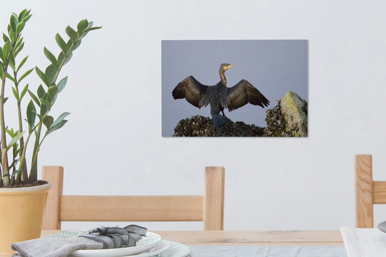 OneMillionCanvasses® Leinwandbild Schwarzhalskormoran breitet seine Aufhängefertig, Wandbild (1 Leinwandbilder, Flügel cm aus, 30x20 St), Wanddeko