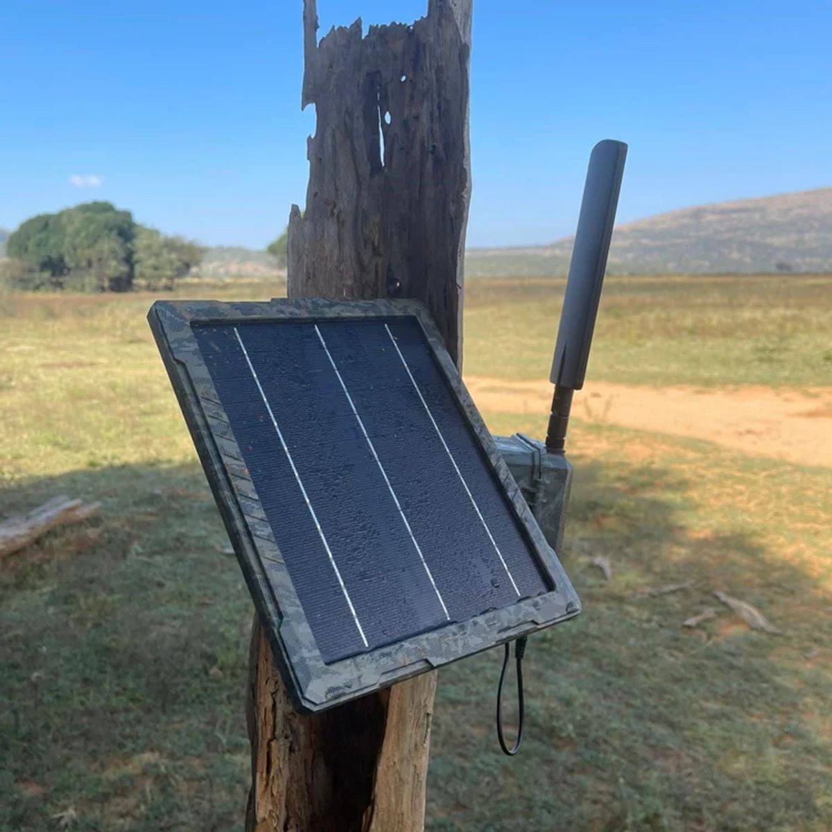 ICUserver Wildkamera icusun (Solarpanel 5,4 W – Für Wildkameras & Überwachungskameras, IP54)