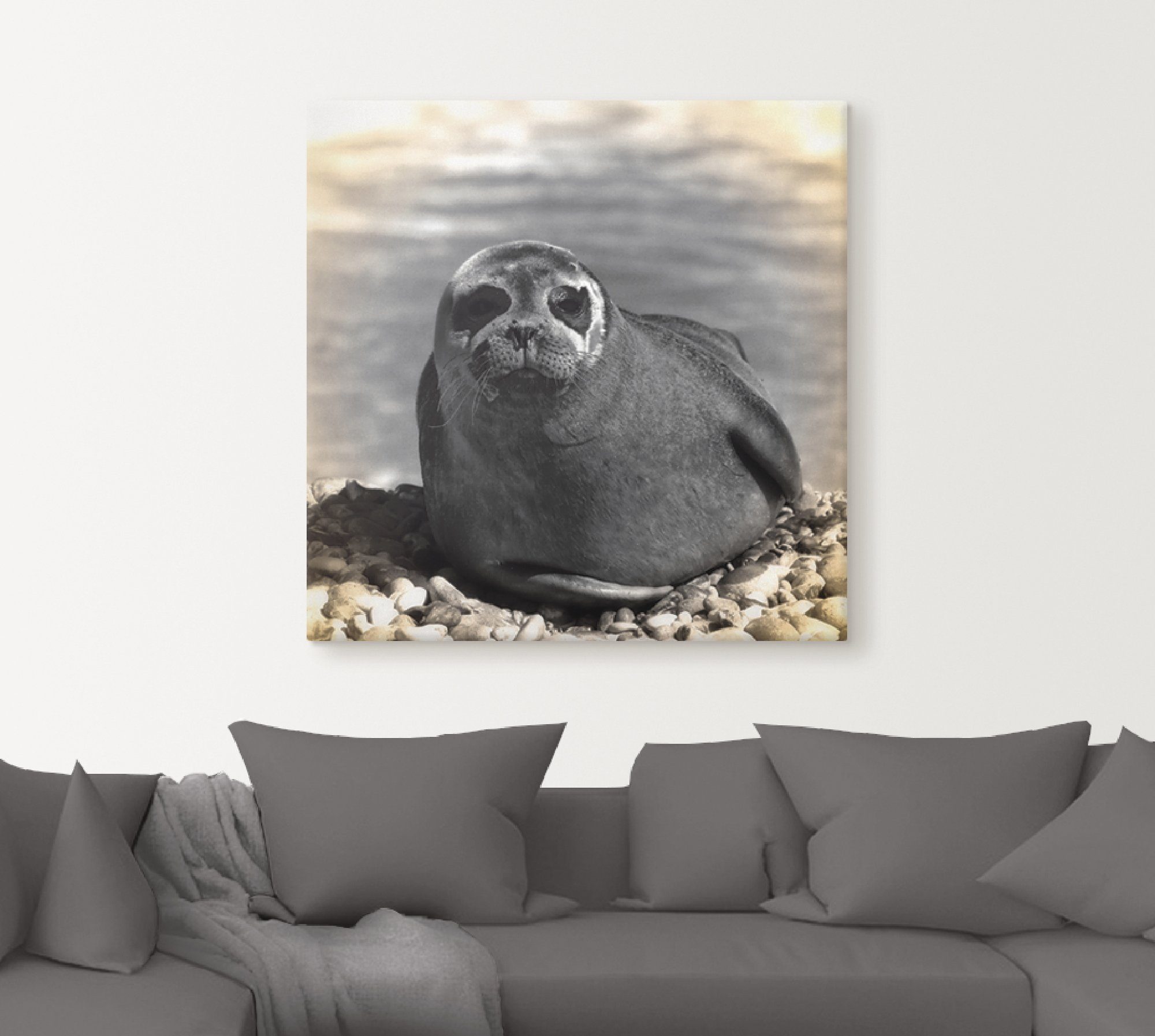 (1 versch. Wandbild Seehund Artland St), Wandaufkleber Poster in Leinwandbild, Wassertiere oder Alubild, Größen Kontakt, als