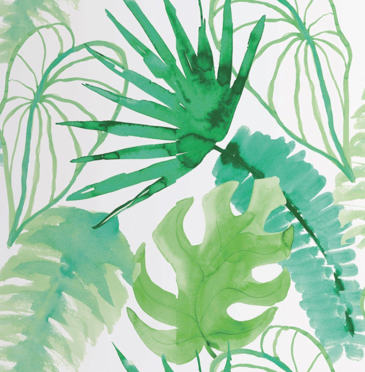 Vliestapete Jungle - Botanik, glatt, botanisch, (1 St), Monstera - 10m x 52cm. € 33,50, (€ 6,32 pro 1 qm).