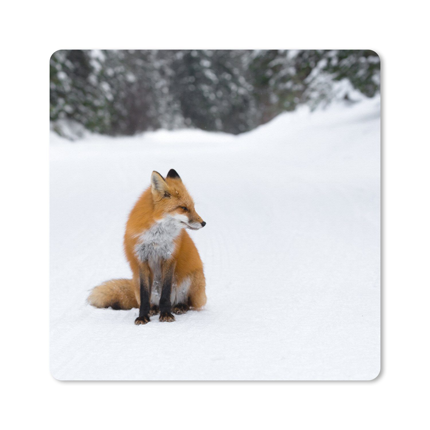 MuchoWow Mauspad Fuchs - Schnee - Winter (1-St), Mousepad, PC Zubehör, Gaming Dekoration, Desk Mat, 60x60 cm