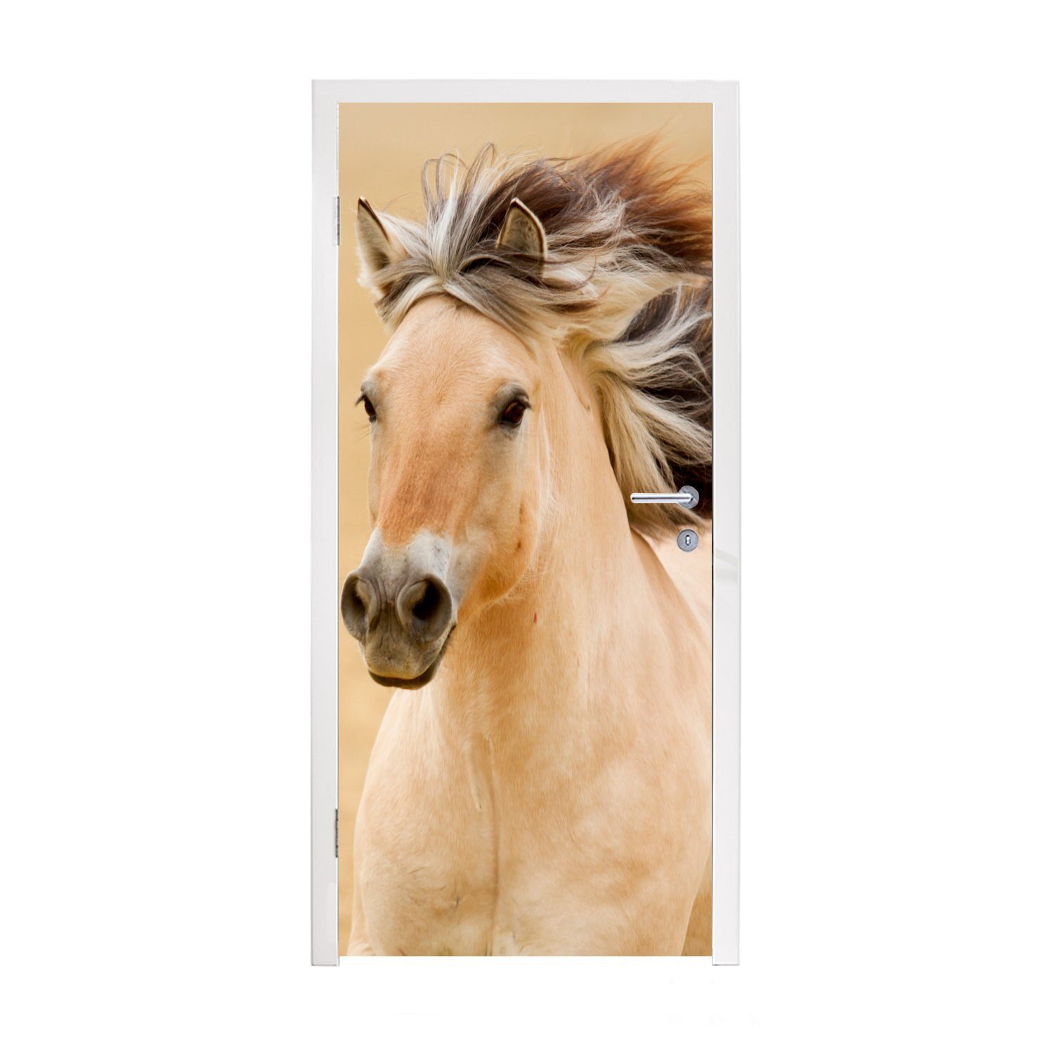 MuchoWow Türtapete Pferde - Mähne - Tiere 75x205 - Porträt, bedruckt, für Fototapete Türaufkleber, Matt, Tür, (1 St), cm