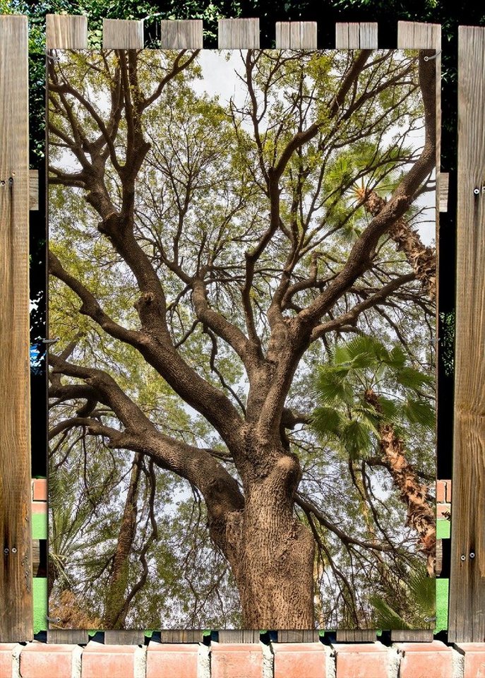 Thumbnail - Wallario Sichtschutzzaunmatten Weit verzweigter Baum mit Palmen - Ansicht aus der Froschperspektive