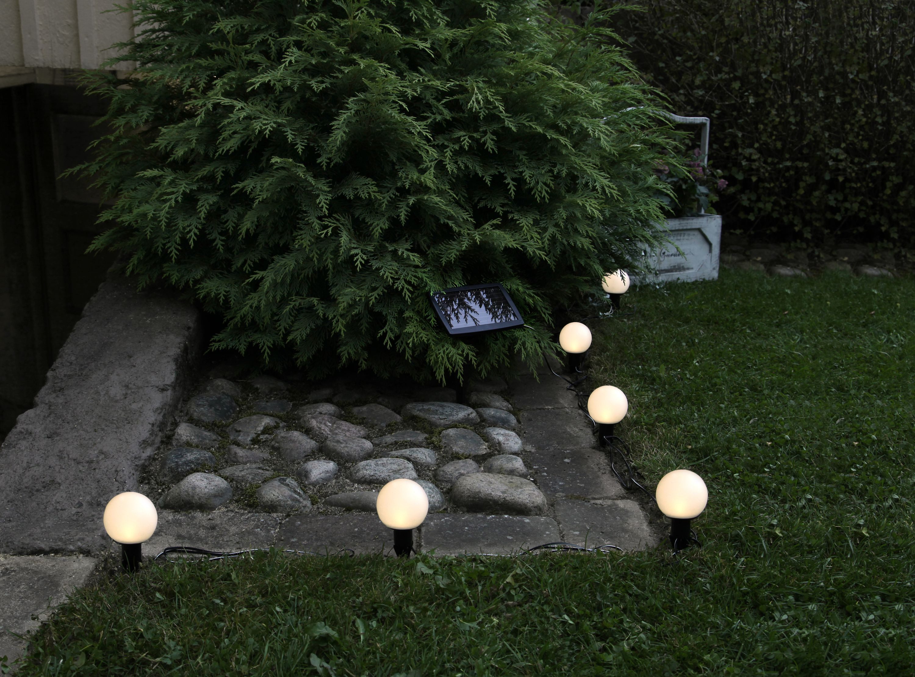 STAR TRADING LED Lichtleiste Best Season günstig online kaufen