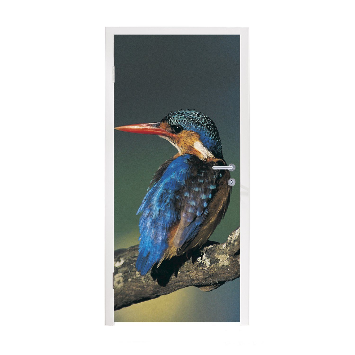 MuchoWow Türtapete Eisvogel - Tier - Farbenfroh, Matt, bedruckt, (1 St), Fototapete für Tür, Türaufkleber, 75x205 cm