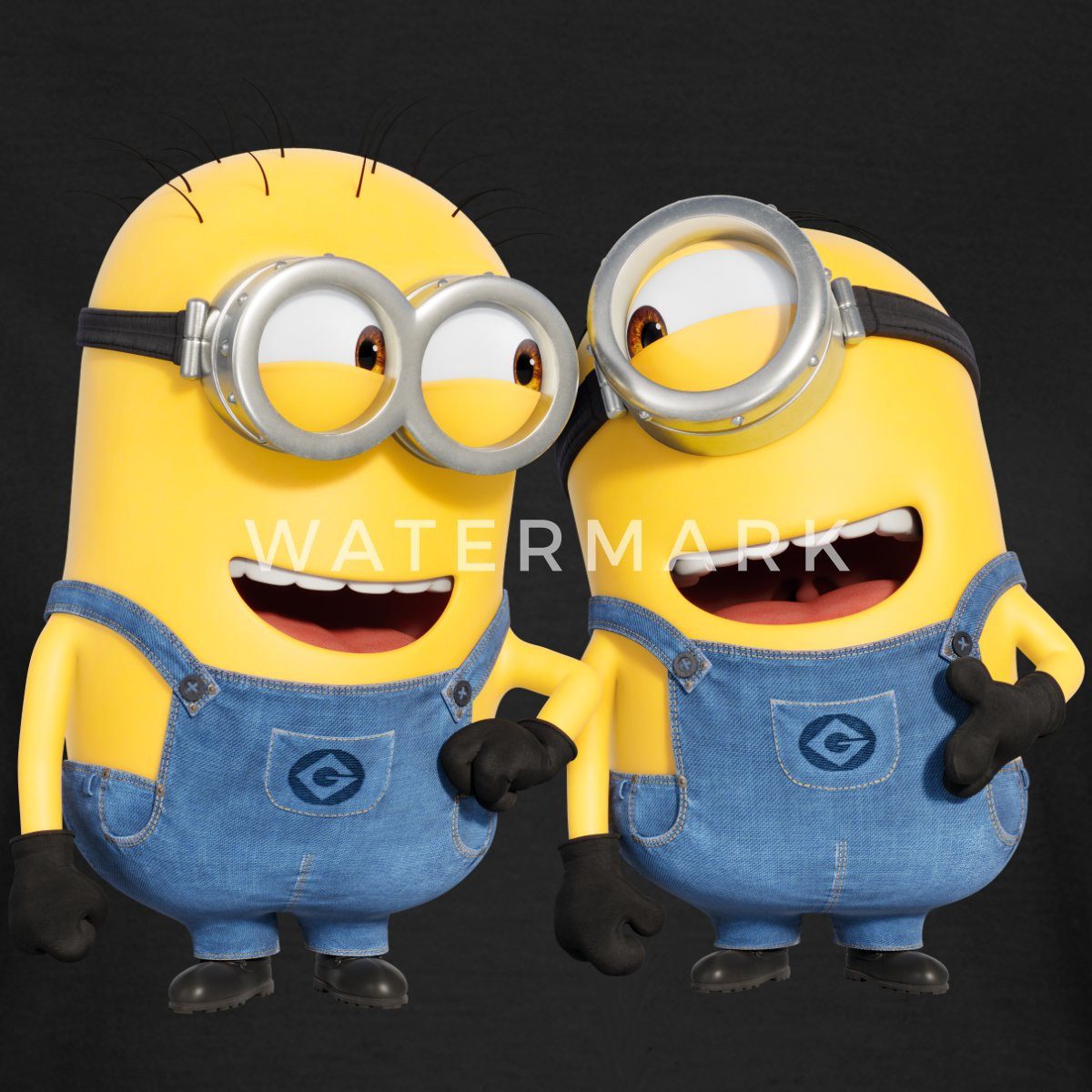 Spreadshirt T-Shirt Minions Despicable Me Phil Und Stuart Frauen T-Shirt (1 günstig online kaufen