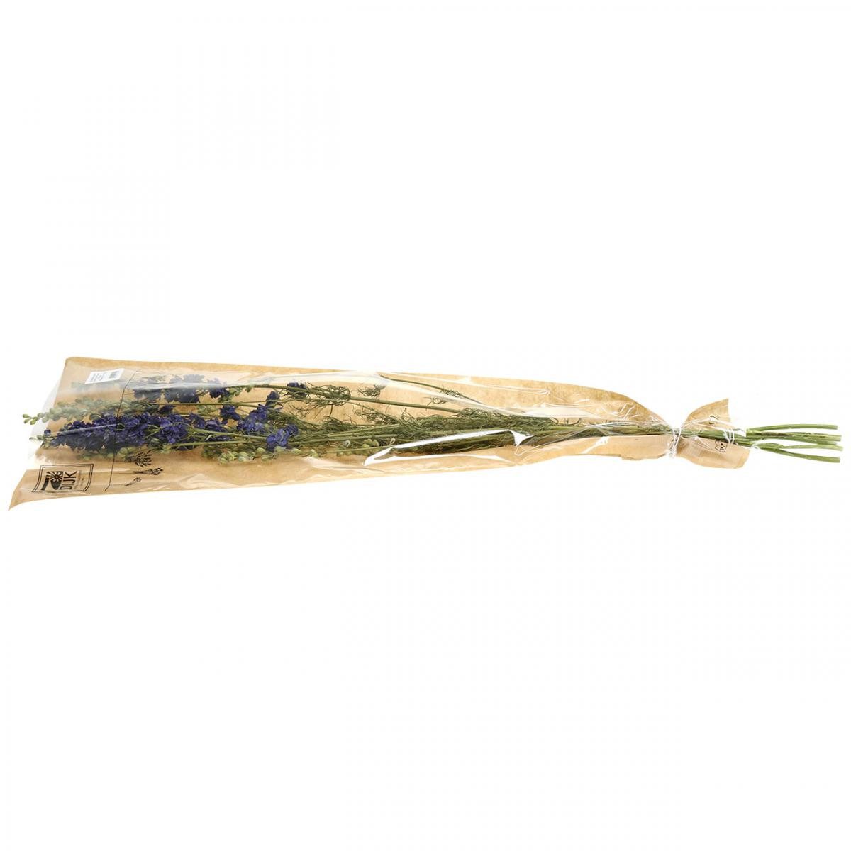 Trockenblume Getrocknetes Delphinium Blau - Trockenblumen Rittersporn, 64cm, DIJK, Höhe 64 cm